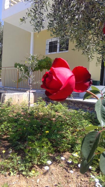Guest House Solive ฮีมาเรอ ภายนอก รูปภาพ