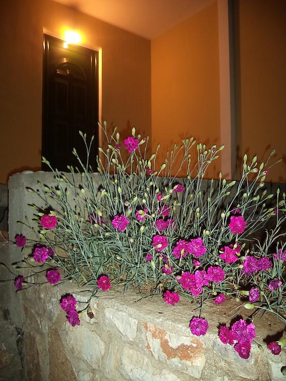 Guest House Solive ฮีมาเรอ ภายนอก รูปภาพ